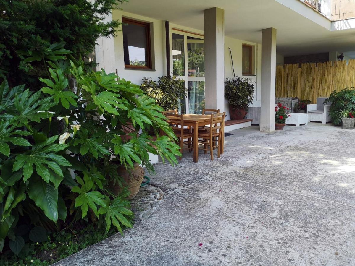 Willa Parte Di Casa Con Giardino E Piscina Pietrasanta Zewnętrze zdjęcie
