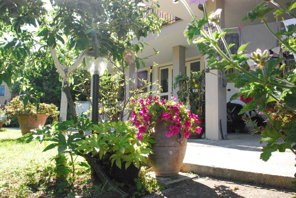 Willa Parte Di Casa Con Giardino E Piscina Pietrasanta Zewnętrze zdjęcie