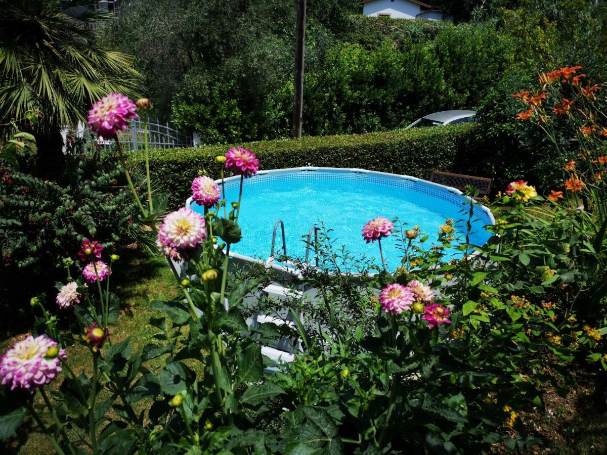 Willa Parte Di Casa Con Giardino E Piscina Pietrasanta Zewnętrze zdjęcie